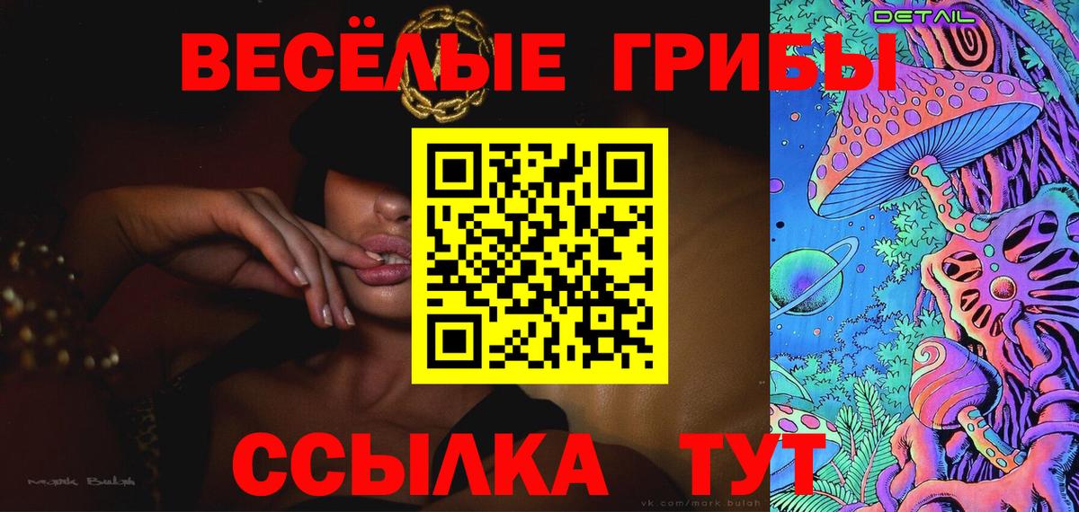 Галлюциногенные грибы Cubensis Новомосковск