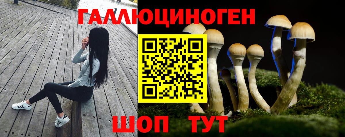 Псилоцибиновые грибы мицелий  Вход с VPN  Галлюциногенные грибы ЛСД  Новомосковск 